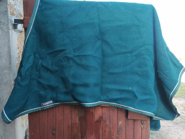 couverture laine Equiline