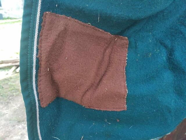 couverture laine Equiline