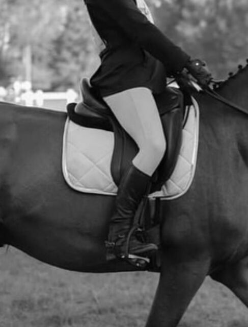 Selle de dressage Time Rider