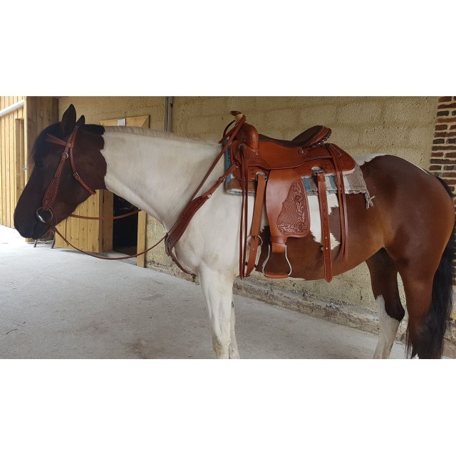 Selle Western