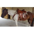 Selle Western
