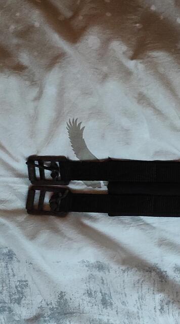 Sangle 100cm