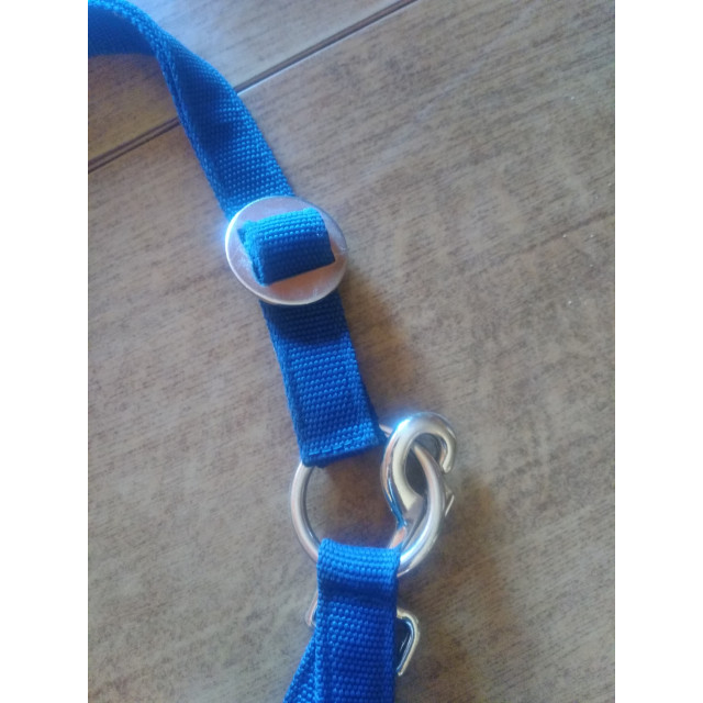 Licol poney bleu marine