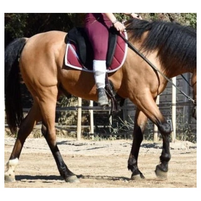 Tapis mixte Azhary bordeaux