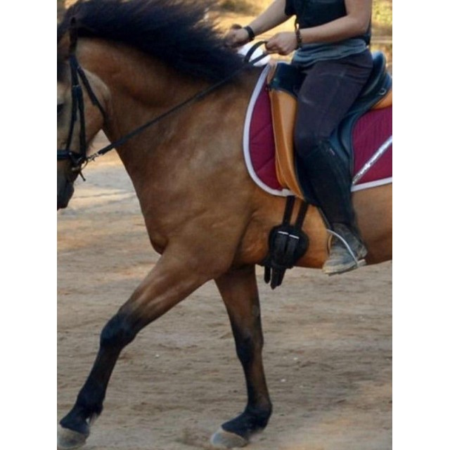 Tapis mixte Azhary bordeaux