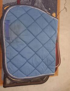 tapis bleu privilège équitation
