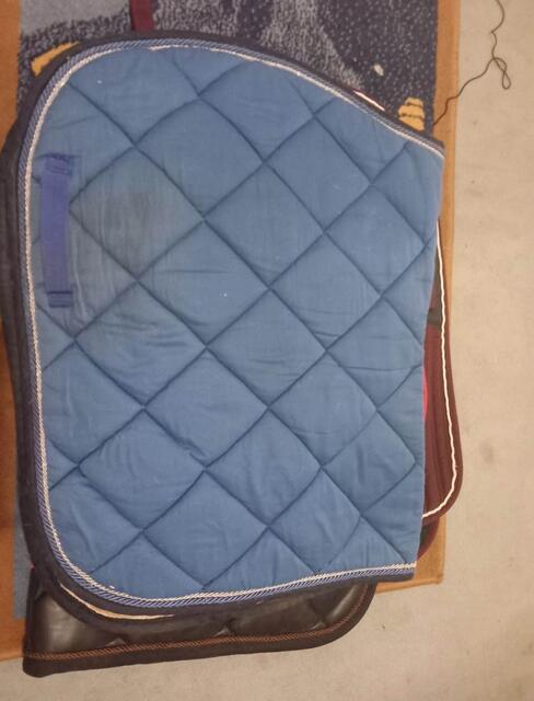 tapis bleu privilège équitation