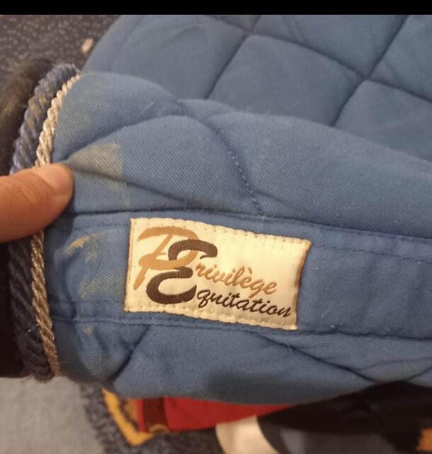 tapis bleu privilège équitation