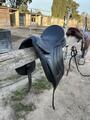 Selle de dressage