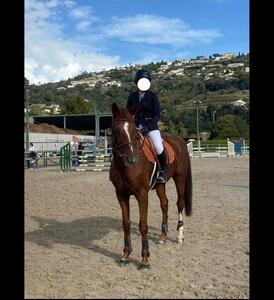Veste de concours Equithème