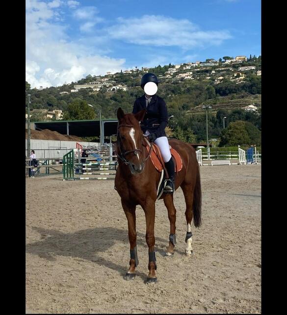 Veste de concours Equithème