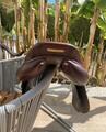 Selle CWD