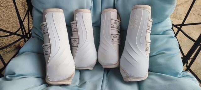 Guêtres Veredus Absolute dressage IW