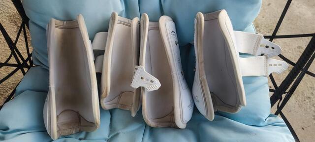 Guêtres Veredus Absolute dressage IW