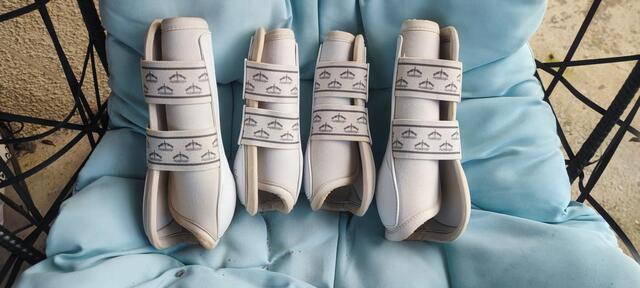 Guêtres Veredus Absolute dressage IW