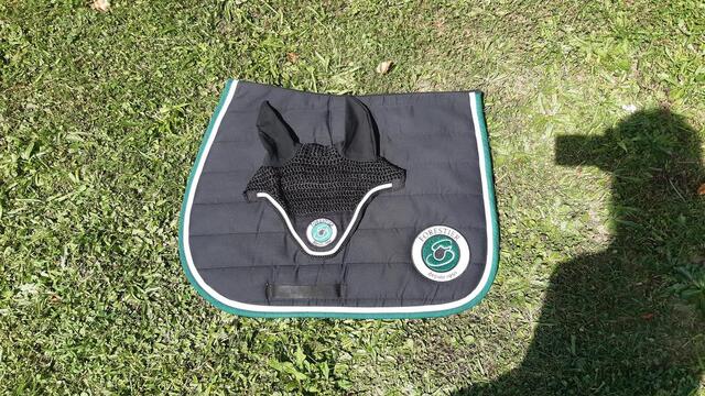 Ensemble forestier