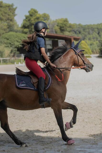 💘Bombe equitheme ! 💘