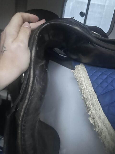 selle de dressage
