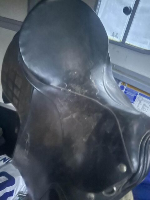 selle de dressage