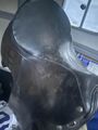 selle de dressage