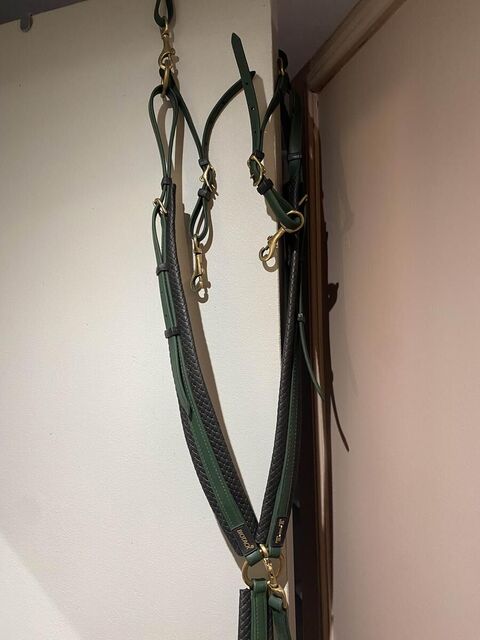 collier de chasse endurance T de T vert