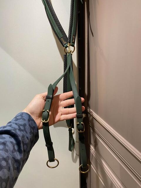 collier de chasse endurance T de T vert