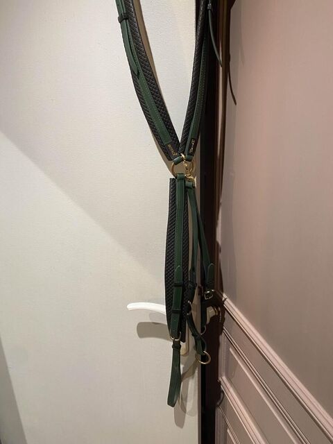 collier de chasse endurance T de T vert