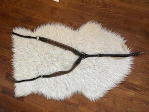 collier de chasse