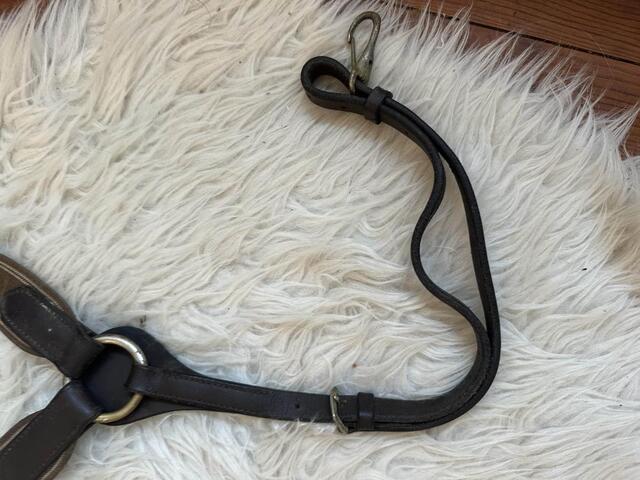 collier de chasse