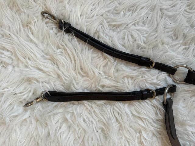 collier de chasse