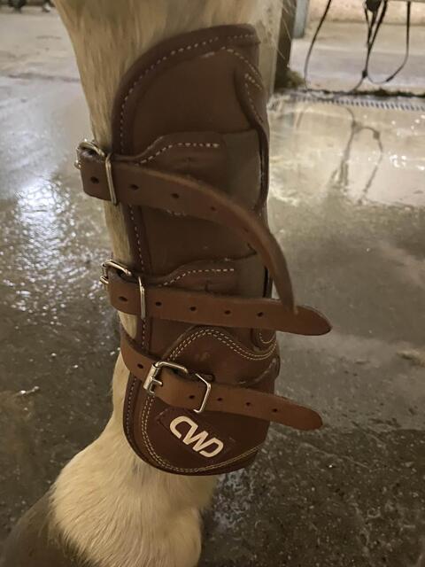 guêtres CWD