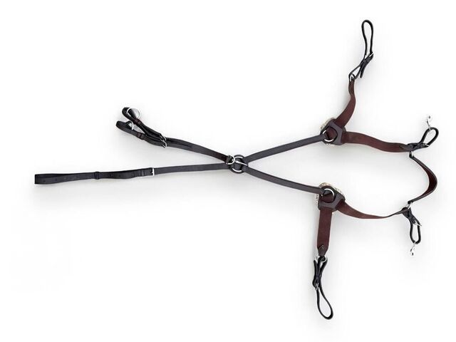 martingale marron