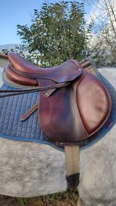 Selle antares connexion