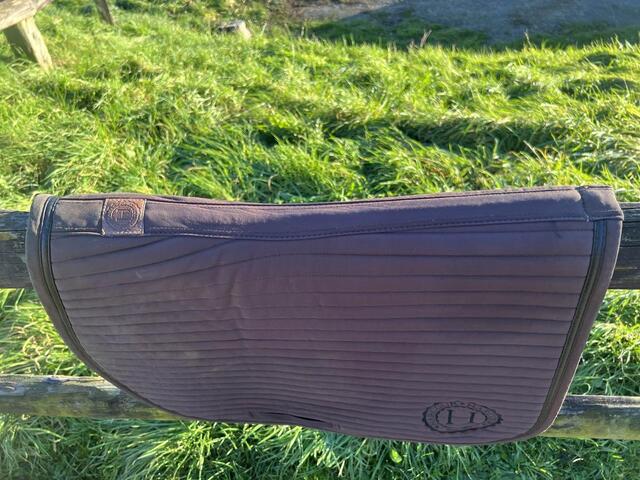 tapis harcour