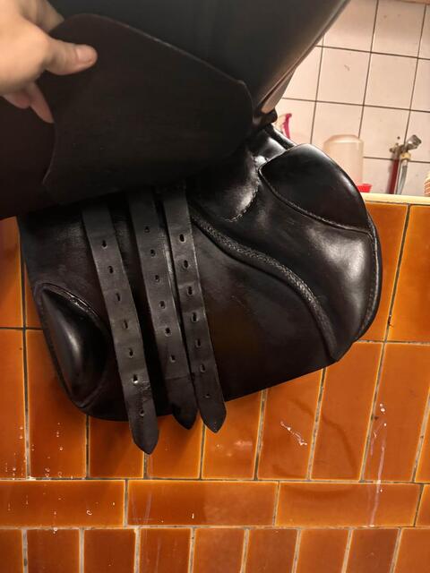 selle Stübben