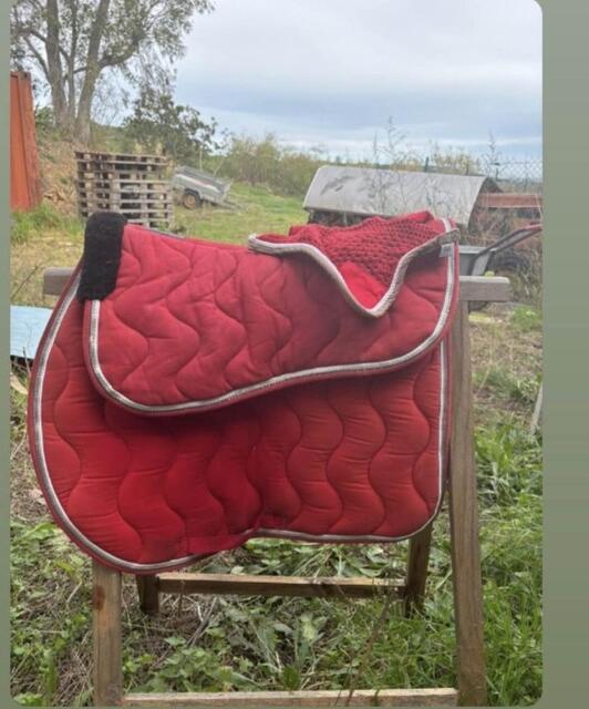 ensemble tapis bonnet amortisseur licol longe