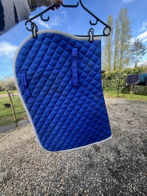 Tapis bleu roi