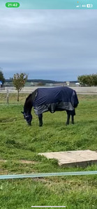 impair Equitheme 135