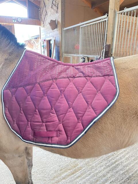 Tapis sport