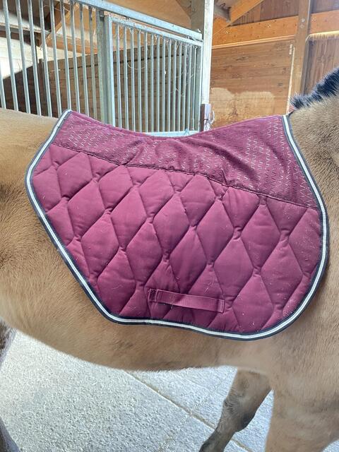 Tapis sport