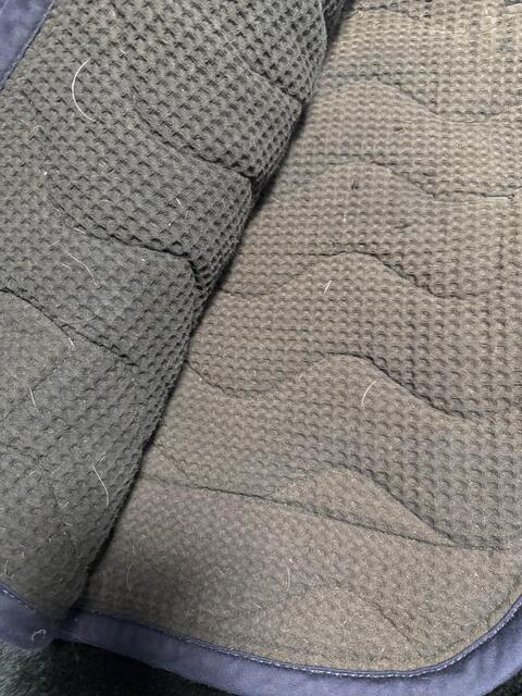 tapis
