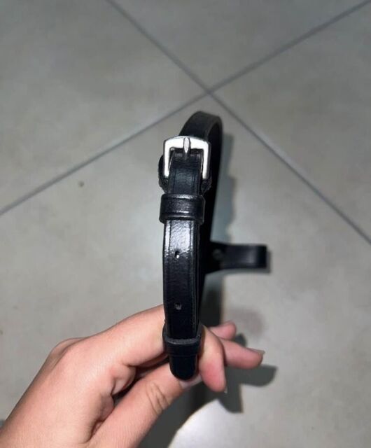 noseband