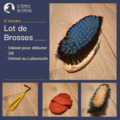 Lot de brosses