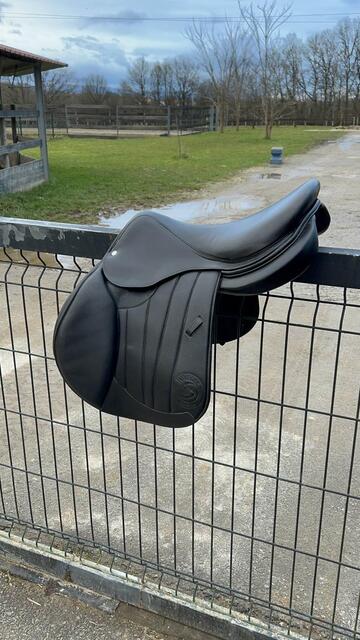 selle forestier Séoul