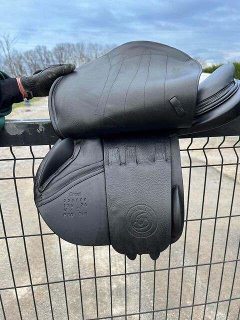 selle forestier Séoul