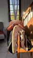 Selle mixte 16.5’