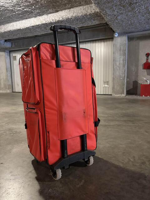 malle horse and travel
