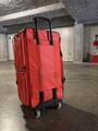malle horse and travel