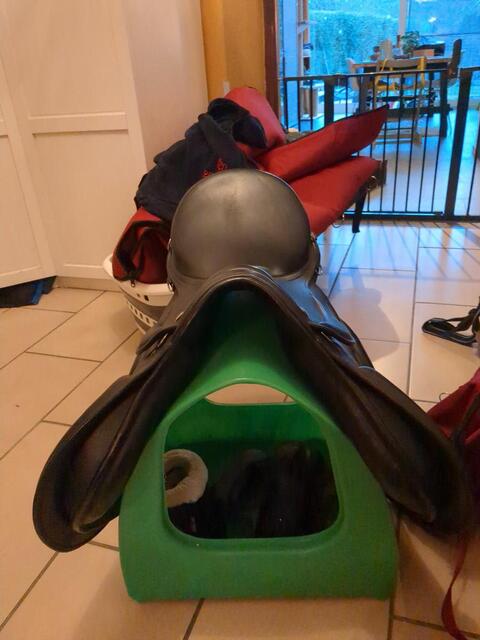 Selle zaldi olympic 17,5