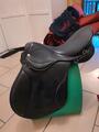 Selle zaldi olympic 17,5